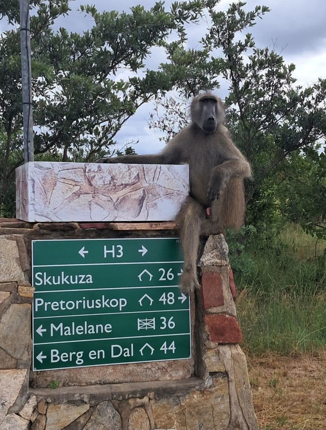 Kruger National Park road signs to Skukuza, Pretoriuskop, Malelane and Berg-en-Dal
