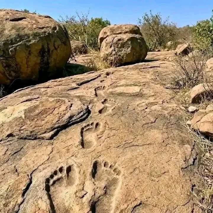 Close-up of the Mpuluzi footprint outline