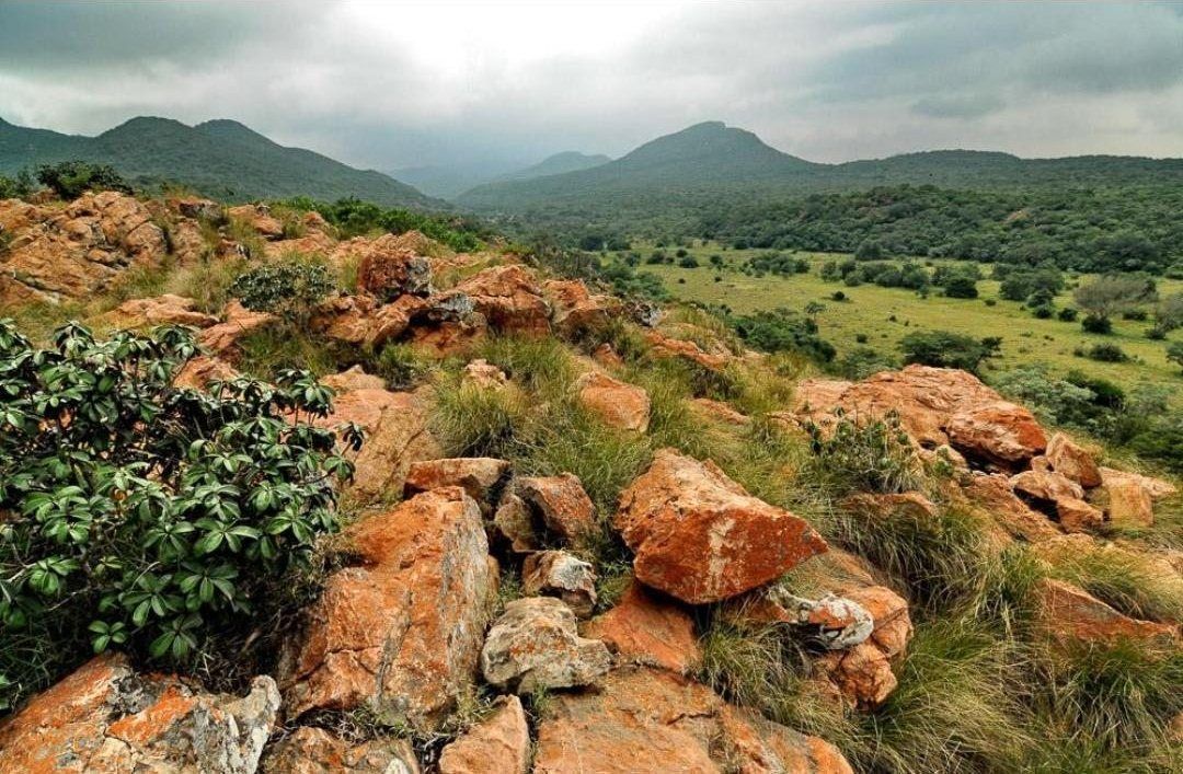 The green hills and rock landscape of Venda in northern Limpopo