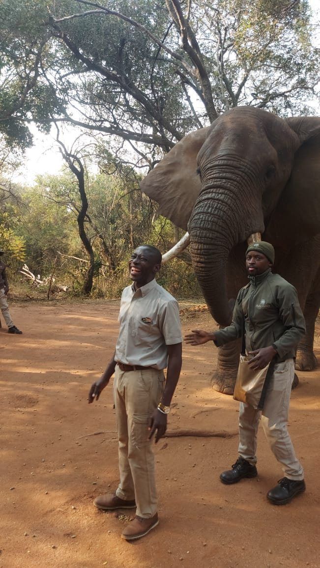 Guided elephant experience at the Elephant Sanctuary in Hartbeespoort