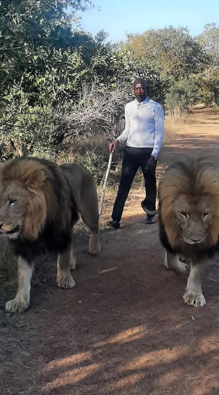 Ukutula Wildlife and Conservation Experience near Johannesburg