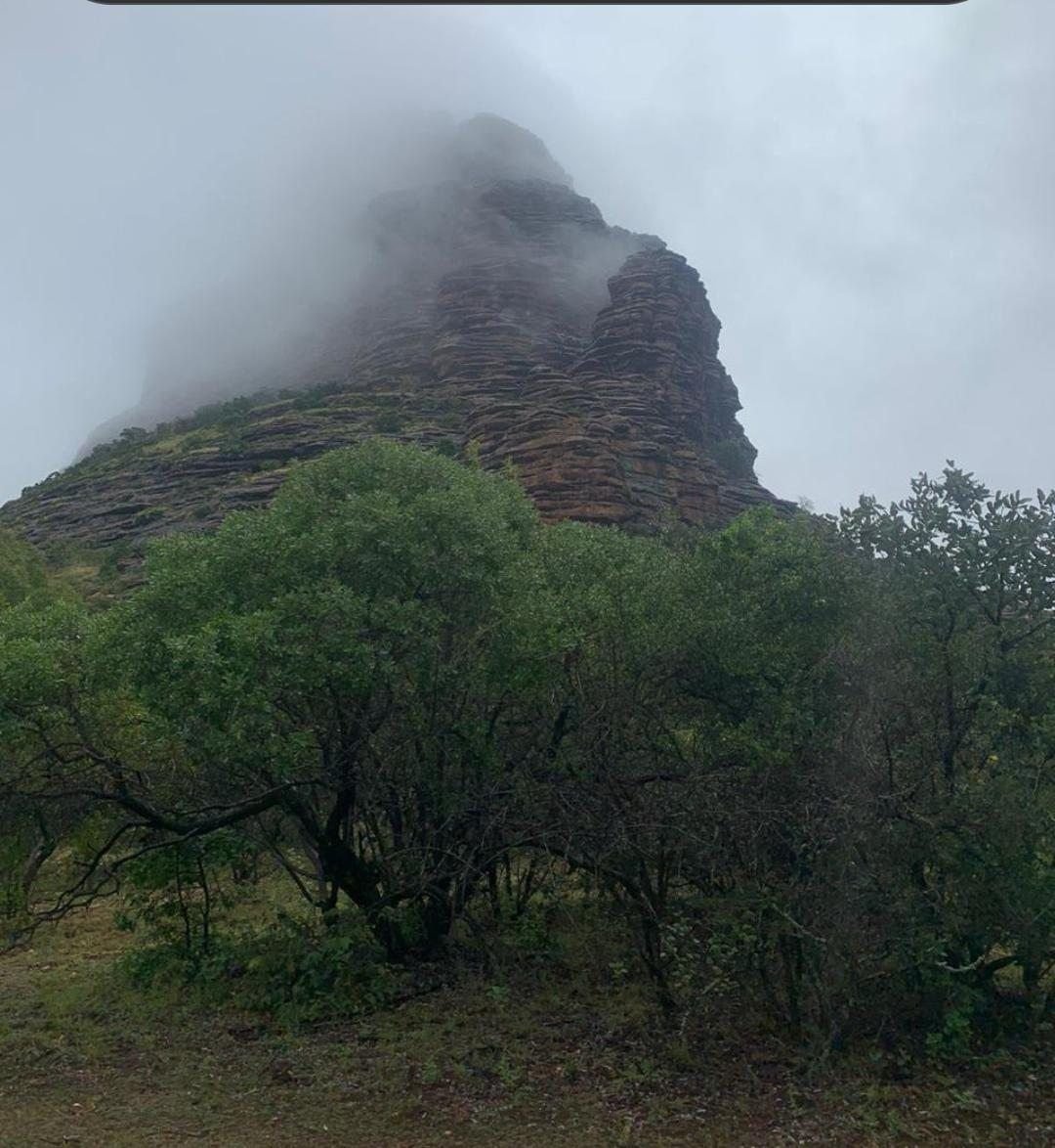 Misty Waterberg peak in Limpopo