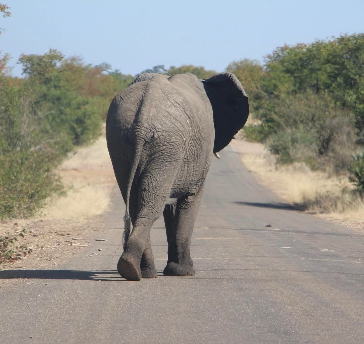 North West Province tours and safaris from Johannesburg