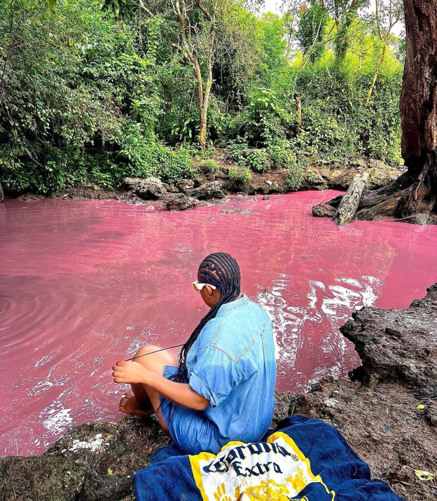 336282365_161773346752390_8948459737535709073_n