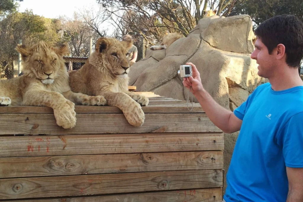 from-lion-safari-park-half-day-tour-577453
