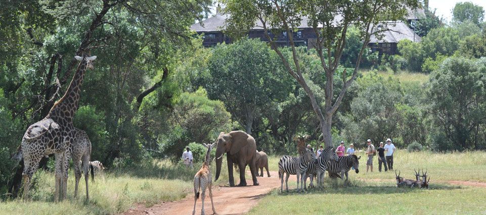 glenafriccountrylodge_30-x_large