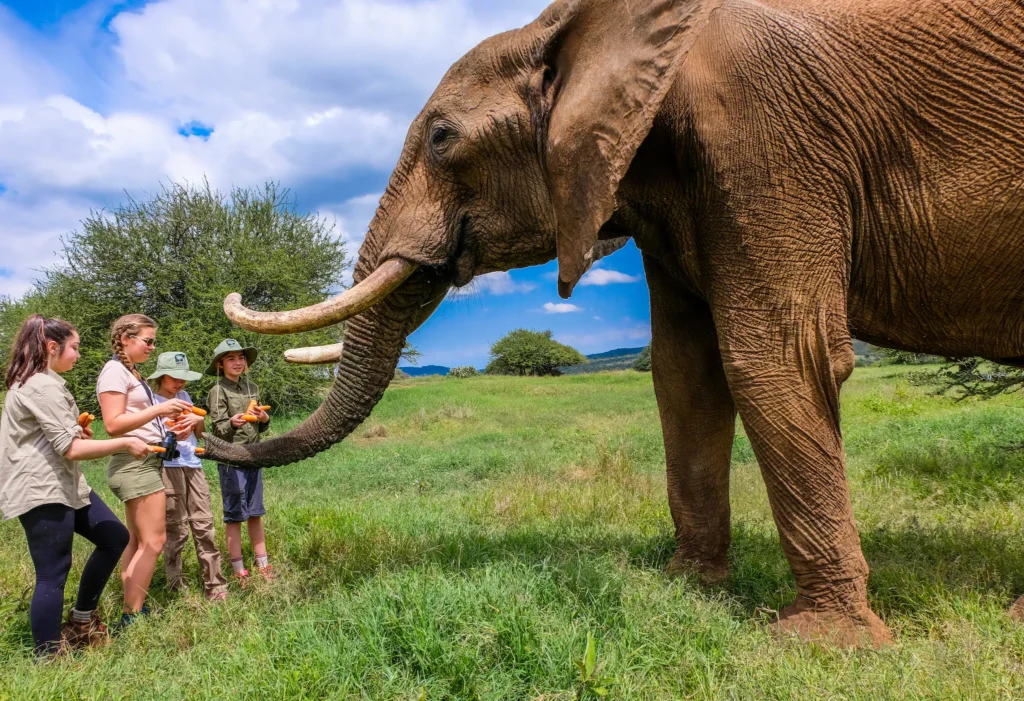 micato-safaris_81763